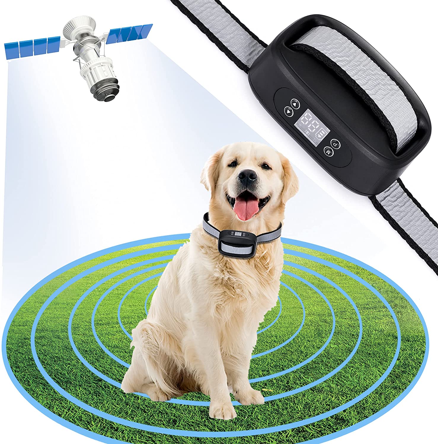 Popular Electric Fence For Dogs